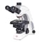 Motic Instruments Usa Panthera C2 Trinocular 50:50 Phase Package Compound Upright Microscope 1100104601171 - alternate 1